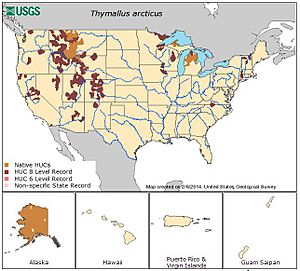 Archivo:NativeandIntroducedRangeThymallusarcticus-USGS