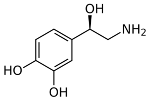 Archivo:Norepinephrine structure