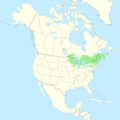 Pinus resinosa range map