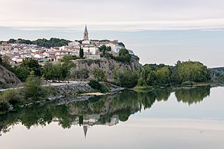 Río Aragón a su paso por Milagro, Navarra, España, 2021-08-31, DD 49.jpg