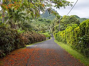 Archivo:Rarotonga, back roads