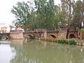 San Esteban de Gormaz - Río Duero 10