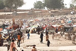 Archivo:Screengrab of refugee camp from Number of Refugees Who Fled Sudan for Chad Double in Week