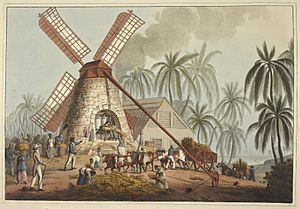 Archivo:The Mill Yard - Ten Views in the Island of Antigua (1823), plate V - BL