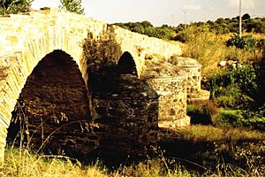 Archivo:2018 Puente Viejo de Valimbre sobre el río Turienzo (1)