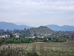 20240918 Malloa 02.jpg