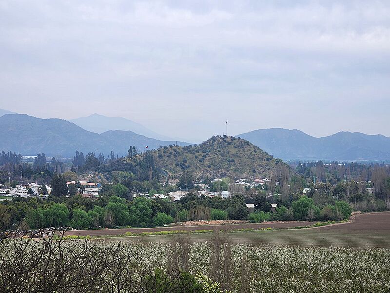 20240918 Malloa 02