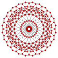 24-cell t12 F4