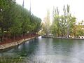 ARBUNIEL (1)