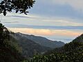 Amazon Views