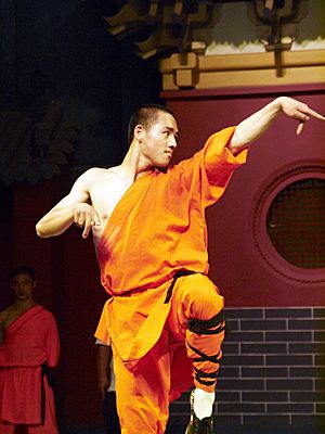 Archivo:Art of Shaolin Kung Fu