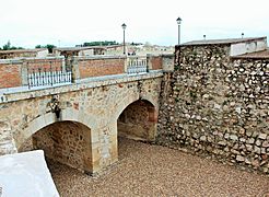 BA-R.A-Hornabeque de la Cabeza del Puente de Palmas-17