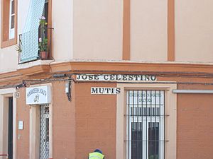 Archivo:Calle José Celestino Mutis en Cádiz