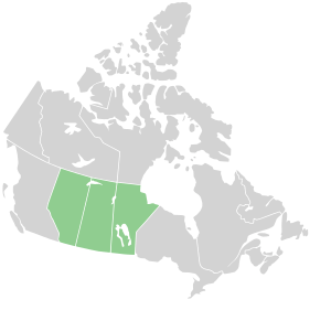 Archivo:Canada Prairie provinces map