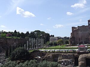 Archivo:Canopy erected at the Temple of Venus and Rome during Good Friday ceremonies