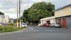 Carretera PR-512, Juana Díaz, Puerto Rico.jpg