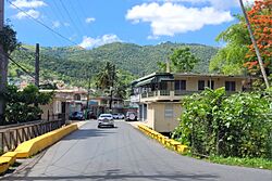 Carretera PR-778, Comerío, Puerto Rico (1).jpg