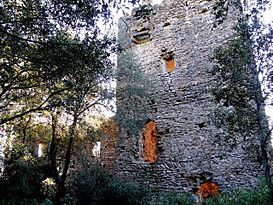 Castell Montagut IMG 3192.JPG