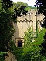 Castell Santa Florentina