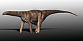 Cetiosaurus BW