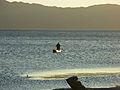 Cujuapa, Lago Ilopango - panoramio - Daniel chavez castro (2)