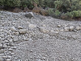 Escorca. Almallutx. Jaciment. Naveta (1).jpg