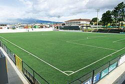 Archivo:Estadio Colleya Fonseca (Cancha)