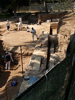 Archivo:Excavació arqueològica al palau del Real de València, Jardins de Vivers 2009