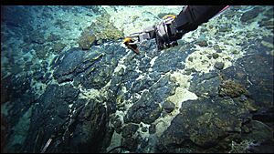 Archivo:Expl2286 - Flickr - NOAA Photo Library