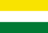 Flag of La Asunta, Bolivia.svg