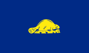 Archivo:Flag of Oregon (reverse)