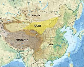 Localización en Asia Oriental