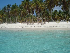 Archivo:Isla Saona Republica Dominicana