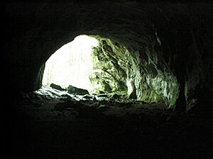 Archivo:Itxinako Supelegor leizea