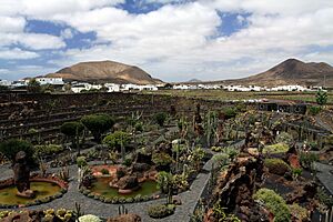 Archivo:Jardin de Cactus on Lanzarote, June 2013 (2)