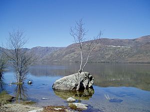 Archivo:Lago de Sanabria desde la playa de los Enanos- Abril 2006