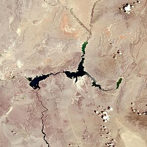 Archivo:Lake Mead in July 2022 by Landsat