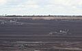 Loy Yang open cut brown coal mine and dredgers