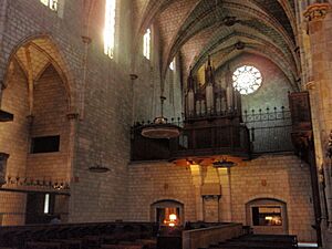 Archivo:MPedralbes1