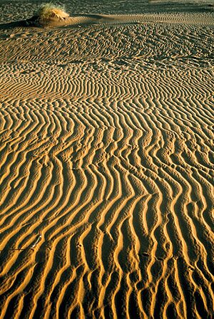 Archivo:Mauritania, dunas 1997 04