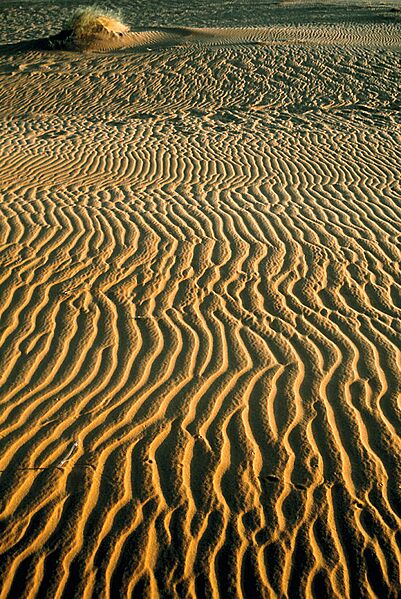 Mauritania, dunas 1997 04