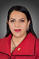 Nely Verónica Gallo Soruco. Official portrait, 2020. Chamber of Senators of Bolivia