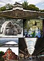 Oita montage