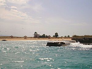 Archivo:Palms Islands