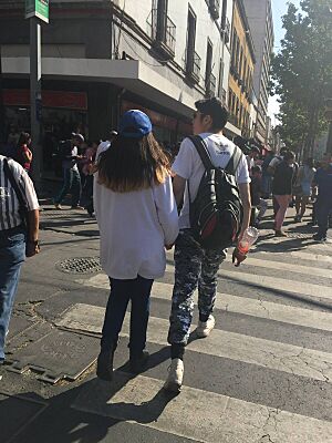 Archivo:Paso de cebra en el centro de Ciudad de México