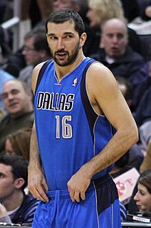 Peja Stojakovic Mavs cropped.jpg