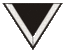 SS-Sturmmann sleeve.gif