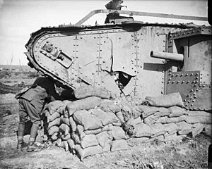 Archivo:The Battle of Passchendaele, July-november 1917 Q6416