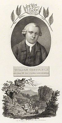 The Frontispiece to Mr Curtis.jpg