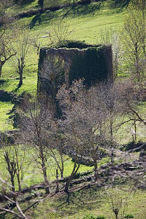 Archivo:Torre de Campo (Bores, Liébana)